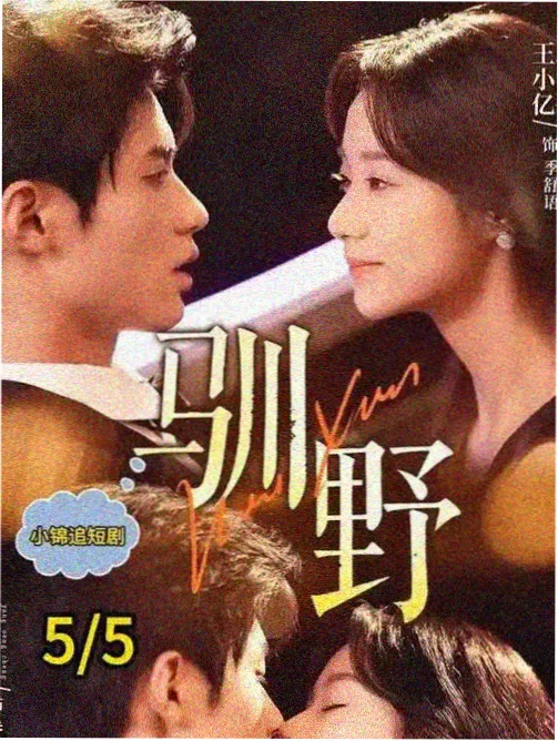 声音设计标本图鉴封面