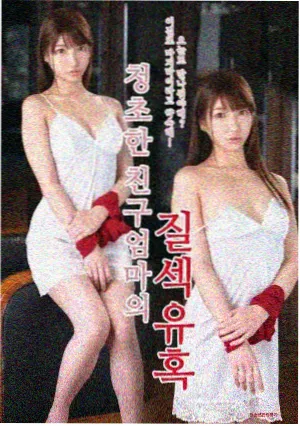 标本柜整理现场侧记照片